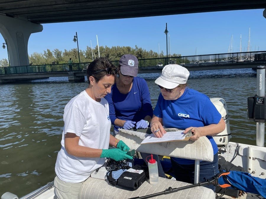 ORCA citizen scientists